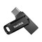Sandisk 256GB Plastic Dual USB Type C SDDDC3256GA46 - alternate 1